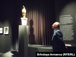 Ovidiu Șandor, comisarul expoziției, admirând Măiastra (1911), lucrare în bronz împrumutată de la Tate Modern.