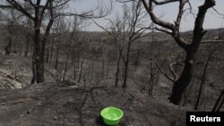 Škaf pun vode pored drveća uništenog u požaru u selu Kiotari, grčko ostrvo Rodos, 27. juli