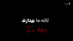 مستند لاله‌ها بیدارند