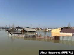 Күлсарынын тургундары. 10-апрель, 2024-жыл.