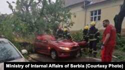 Žena je poginula kada je stablo palo na vozilo u Somboru, 21. maj 2024. 