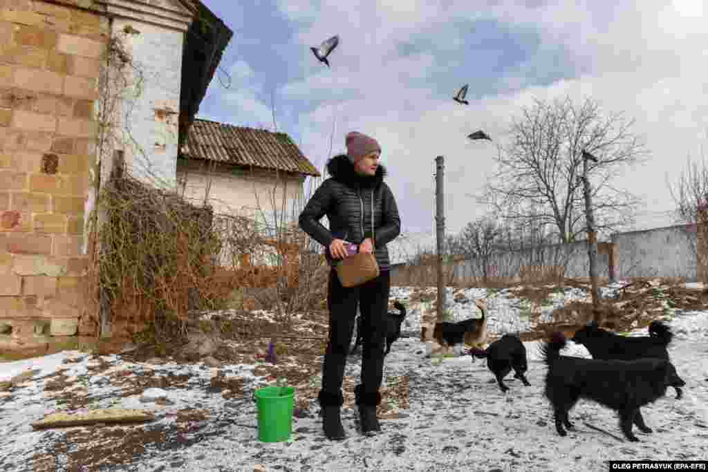 Deși orașul nu se află în prima linie, bombardamentele rusești continuă să lovească Druzhkivka, ucigând și mutilând nu numai pe locuitorii săi, ci și animalele.