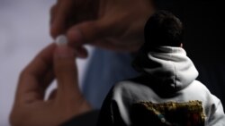 Жаштарды тооруган дары баңгилиги