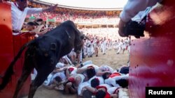 Trenutak ulaska bika u arenu, festival San Fermin u Pamploni, Španija, 7. jula 2024.