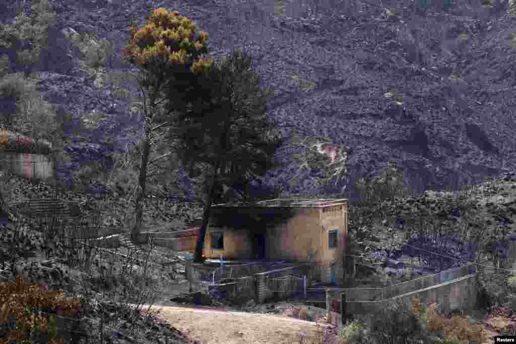 Ostaci izgorjele kuće u sicilijanskom selu Romitelo, blizu Palerma, Italija, 25. juli.