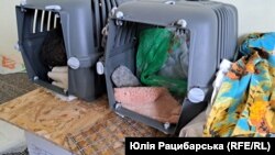 Людмила вивезла котів у переносках