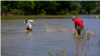 Moldova- Scientific fishing on the river Prut