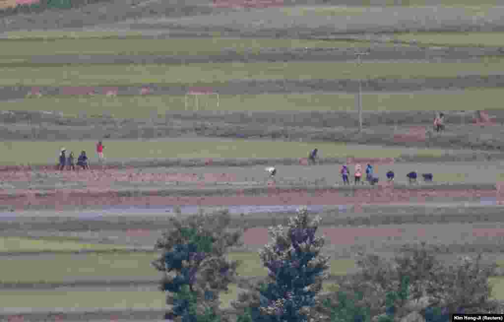 Verikoreanët duke punuar në fushat e orizit në&nbsp;Kaepoong, të parë nga Koreja e Jugut.