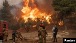 Vatrogasci gase požar koji gori u selu Hasia, blizu Atine 22. avgust 2023.