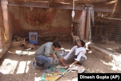 Veterinari hidriraju činkara gazelu u centru za spasavanje životninja, Bikaner, 29. maj 2024.