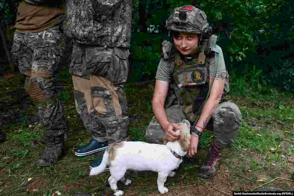Дзвенислава (27 років) зі Львова зазначає: &laquo;У цивільному житті я була архітектором, працювала у великих компаніях, а зараз я&nbsp; бойовий медик роти 47-ї окремої механізованої бригади &laquo;Магура&raquo;