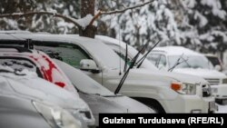 Иллюстрациялык сүрөт.