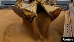 Пшениця завантажується на вантажне судно перед відправкою у російське місто Ростов-на-Дону в порту окупованого росією Маріуполя, 25 жовтня 2023 року