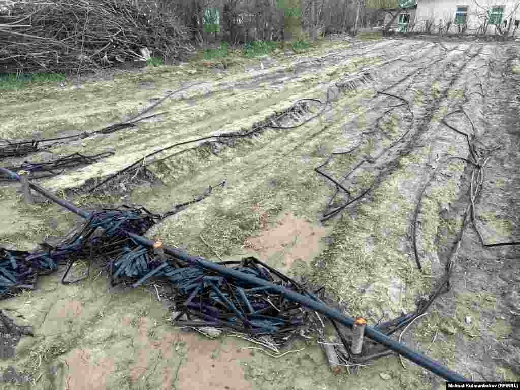 Рапулбек Түлөөкул уулуна тийиштүү жер. Тамчылатып сугаруу системасы жарактан чыккан. Көк-Кашат айылы, Талас.