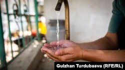 Иллюстративное фото.