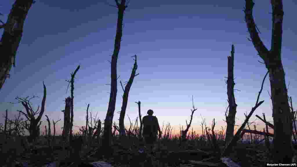 Украински војник се движи низ јагленосана шума на линијата на фронтот на неколку километри од Андријивка. Украинските власти рекоа дека овомесечната битка за патот до Бахмут можеби исфрлила дури три руски бригади од борбата. Ниту една страна не објави податоци за жртви.