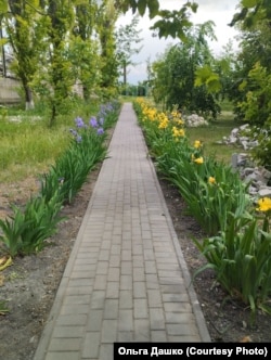 Алея ірисів, яку плекають вчителі