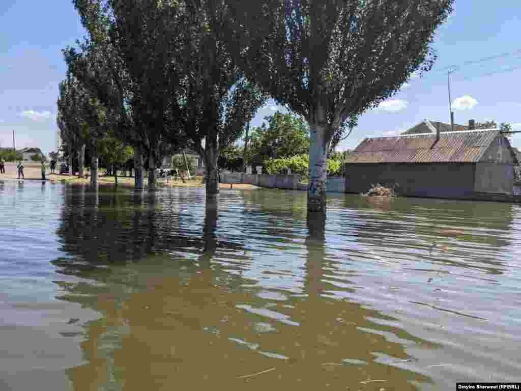 Locuitorii din Afanasiivka spun că apa a crescut într-o zi.&nbsp;