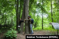 Дендрарийдин көрүүчүлөрү Гинкго билоба дарагын кучактап турушат.