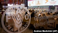 Lansarea raportului „Clima nedreaptă - Măsurarea impactului schimbărilor climatice asupra populației rurale sărace, a femeilor și a tinerilor” la sediul central al Organizației pentru Alimentație și Agricultură (FAO) din Roma, 5 martie 2024.