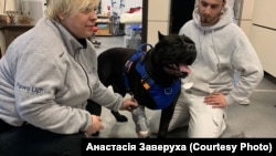 Вася звикає до протезу