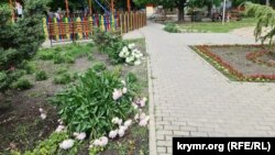 Поваленные кусты цветов в Гагаринском парке Симферополя, 25 мая 2024 года