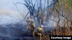 Өзгөчө кырдаалдар министрлиги тараткан сүрөт.