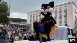 Една от котките, участващи в шествието