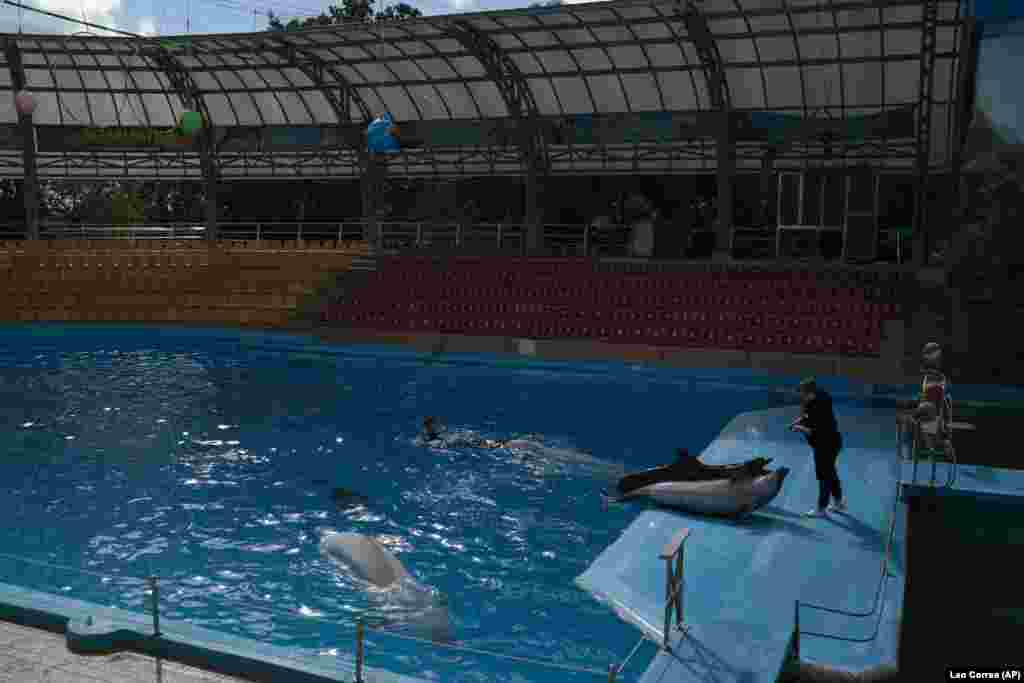 Deși România a reușit să preia ce a putut, alte mamifere precum Zeus și Beauty și dresorii lor (foto în septembrie 2022) au rămas în parc, care a fost afectat de bombardamentele rusești.