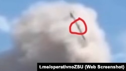 А в цій площині крила видно