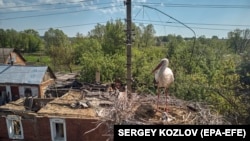 Голова області раніше анонсував примусову евакуацію сімей із дітьми з Харківського, Богодухівського та Ізюмського районів