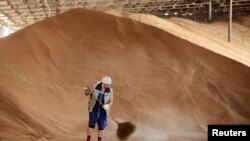 Žena s metlom u skladištu žita u selu Konstantinovo, nekih 60 km (37 milja) od grada Stavropolja na jugu Rusije