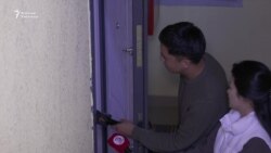 Селекциядагы сестенткен кылмыш