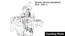 2014-2021-жылдардагы Бишкектеги жашыл аймактын абалы