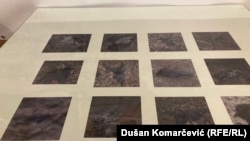 "Grad mrtvih ptica" - zbirka radova ukrajinske umetnice Eve Sigačove