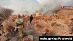 Иллюстративное фото.