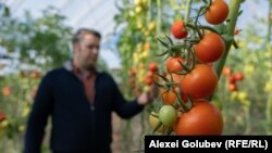 Снимката е илюстративна.