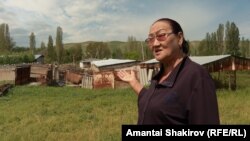 Сайракан Жунушева