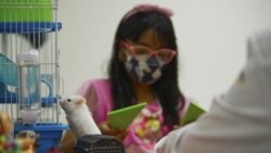 Životinje pomažu u bolničkom liječenju u Meksiku