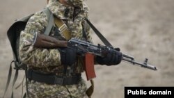 Кыргыз армиясы. Иллюстрациялык сүрөт.