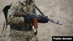 Кыргыз жоокери, иллюстрациялык сүрөт.