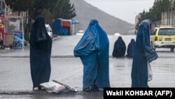 بارنده گی ها در افغانستان 