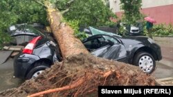 Posledice nevremena u Beogradu, 2. jul 2024. Snažan vetar je u širom zemlja Zapadnog Balkana čupao drveće.