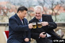 Președintele ceh Milos Zeman (dreapta) la o bere cu liderul chinez Xi Jinping în timpul unei vizite de stat la Praga în 2016.