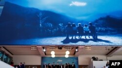 „Trei kilometri până la capătul lumii" a câștigat premiul la secțiunea Queer Palm.