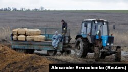 Işçiler tabytlary traktoryň tirkewi bilen Russiýanyň gözegçiligindäki Mariupol şäheriniň golaýynda ýerleşýän Köne Krym obasynyň mazarçylygyna daşaýarlar. 2023-nji ýylyň 4-nji fewraly.