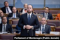 Poslanik DPS-a Andrija Nikolić