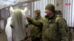 Іпотерапія: як коні допомагають українським військовим під час реабілітації (відео)