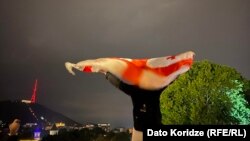 Pred otprilike 50.000 demonstranata okupljenih u centru Tbilisija 11. maja, pjesnik Rati Amaghlobeli, jedan od organizatora protesta, pozvao je Gruzijce da ponovo izađu na ulice 12. maja.