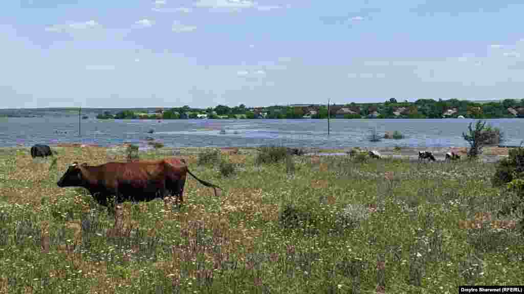 Apa a înconjurat satul și l-a transformat într-o insulă.